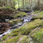 熊野古道の足場の悪い道の様子をお知らせする写真