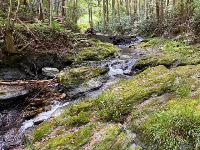 熊野古道の足場の悪い道の様子をお知らせする写真